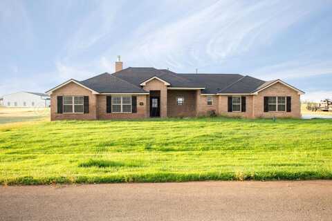 17401 TRINITY Avenue, Amarillo, TX 79124