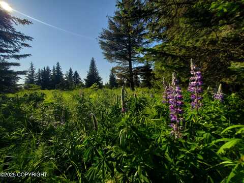 17455 Chefornak Street, Ninilchik, AK 99639