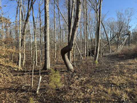 Tbd Pine Log Trail, Edgefield, SC 29824