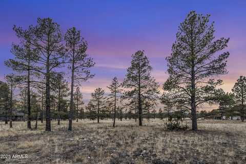 3353 N Cazadero Trail, Flagstaff, AZ 86001