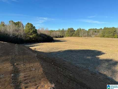 0 COUNTY ROAD 12, ARLEY, AL 35541