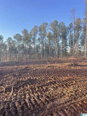 5.38 +/- Acres PEACE OF MIND DRIVE, LINEVILLE, AL 36266