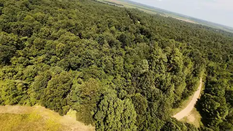 2 CR 449, Pollard, AR 72456