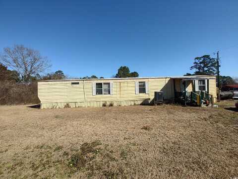 53 Newton Trail, Andrews, SC 29510