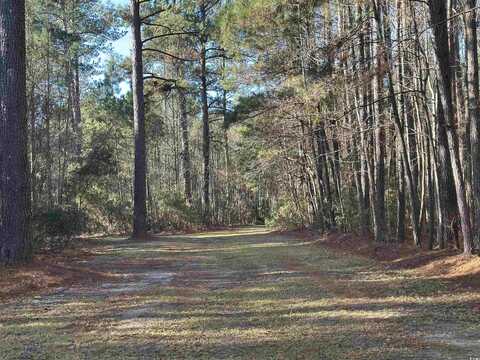 TBD Highway 521, Andrews, SC 29510