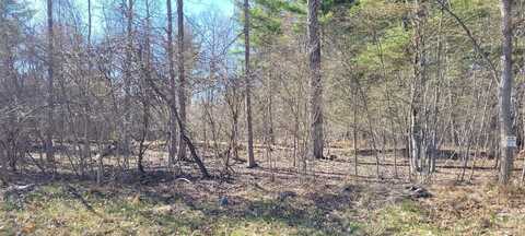 0 Watcher blvd, Durham, NY 12423