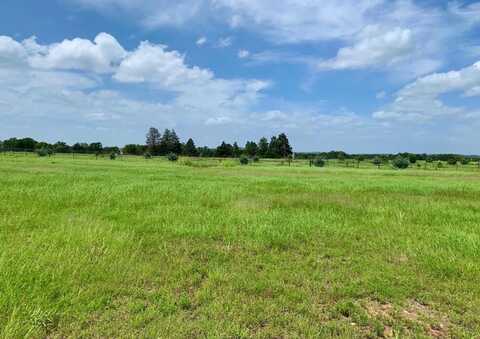106 Baume Ct., Fredericksburg, TX 78624