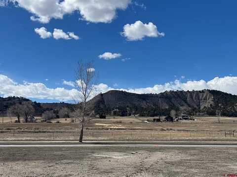 Lot 11 N Laura Street, Ridgway, CO 81432