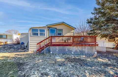 19866 Joy Road, Austin, CO 81410