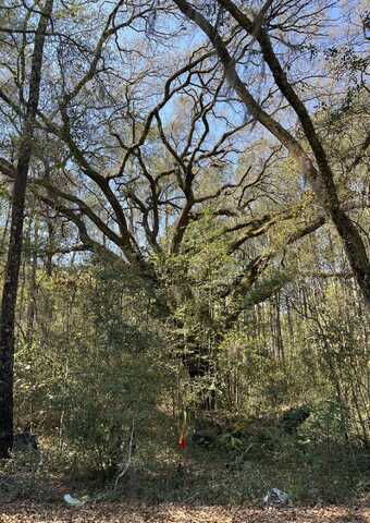 Lot #3 Old Military Road, Adams Run, SC 29426