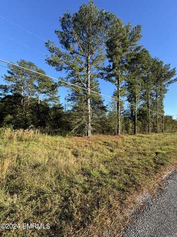 TBD County Road 545, Philadelphia, MS 39350