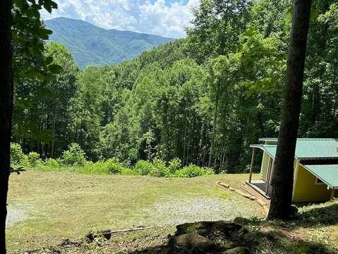 Pigeon Creek Road, Bryson City, NC 28713