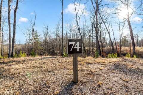 54 River Overlook Lane, Ellijay, GA 30540