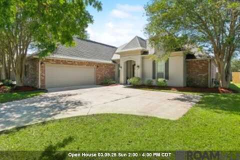 12439 Old Mill Dr, Geismar, LA 70734