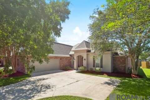 12439 Old Mill Dr, Geismar, LA 70734