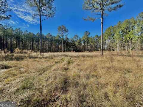 0 Riggs Mill, Statesboro, GA 30458