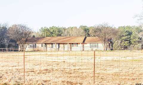 599 CR 4206, Daingerfield, TX 75638