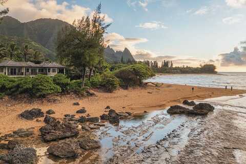 7336 ALEALEA RD, HANALEI, HI 96714