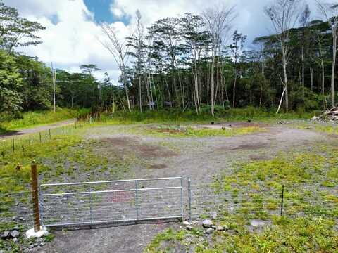 LEHUA RD, PAHOA, HI 96778