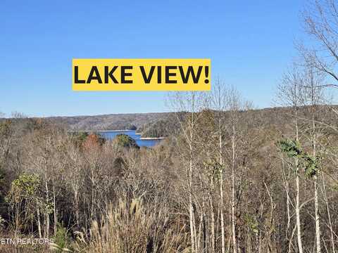 Lot 10,11 Stoney Point Rd, Byrdstown, TN 38549