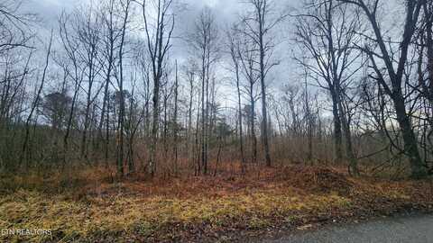 Edward Smith Rd, Elgin, TN 37733