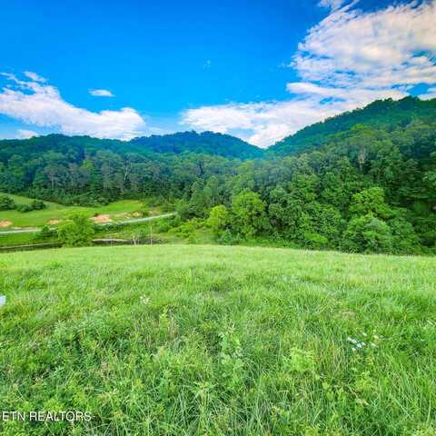 Lot 173 Claudes Nest, Sharps Chapel, TN 37866