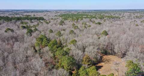 Private Road Easement off TX Hwy 43, Bivins, TX 75555