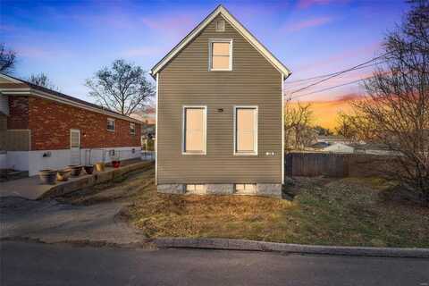 119 E Cartwright Avenue, Saint Louis, MO 63125