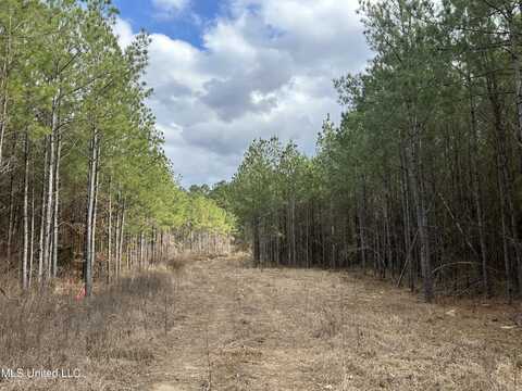 St. Johns Road, Braxton, MS 39044