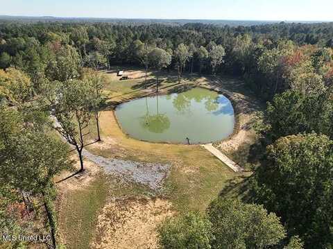 199 Alliston Farm Road, Florence, MS 39073