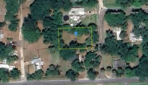 55917 CABBAGE ROAD, ASTOR, FL 32102