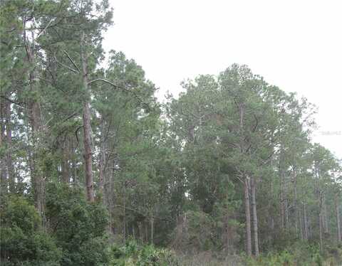 DELAND, FL 32724, DELAND, FL 32724