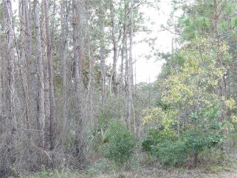 NO STREET, DELAND, FL 32724