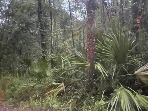 PROPERTY LOCATION IS NOT AVAIL, DE LEON SPRINGS, FL 32130