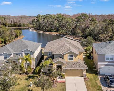 20209 MERRY OAK AVENUE, TAMPA, FL 33647