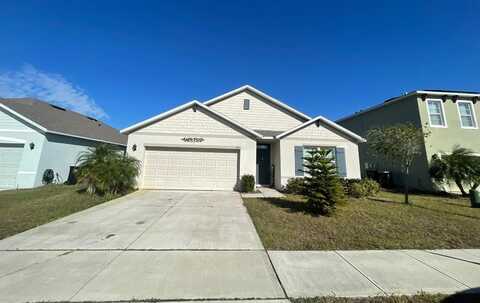 3181 SERENDIPITY WAY, DAVENPORT, FL 33896