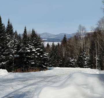 Lot 7 Mill Brook Road, Sandy River Plt, ME 04970