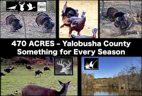 3114 CR 212, Water Valley, MS 38965