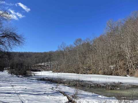 1440 B Moyers Road, Bruceton Mills, WV 26525