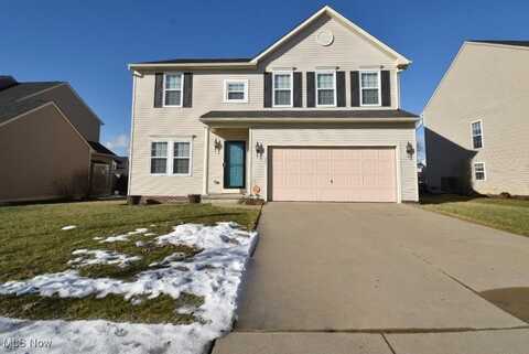 222 S Settlers Lane, Painesville, OH 44077