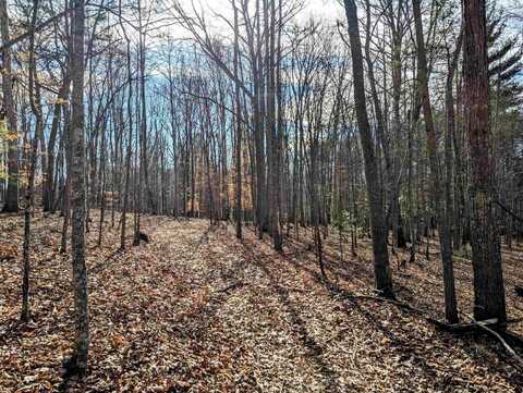 TBD Irish Mountain Road, Allisonia, VA 24347