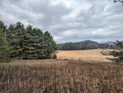 TBD Irish Mountain Road, Hiwassee, VA 24347