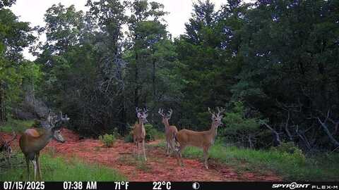 Lot A - Williams Road, Tribbey, OK 74878