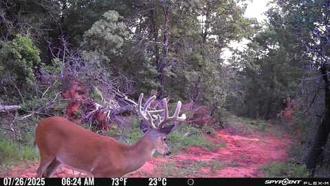 Lot B - Williams Road, Tribbey, OK 74878