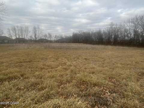 Tbd Prairie Lane, Carl Junction, MO 64834