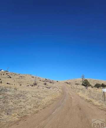 29th Trail, Cotopaxi, CO 81223