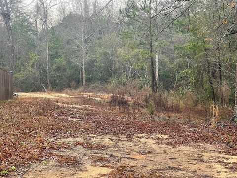 205 & 207 Rue St Germaine, Carriere, MS 39426