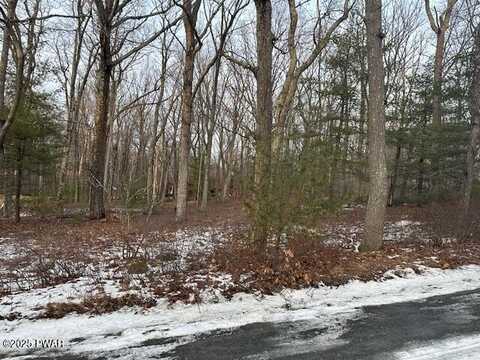 Lot 6 Sagamore Road, Shohola, PA 18458