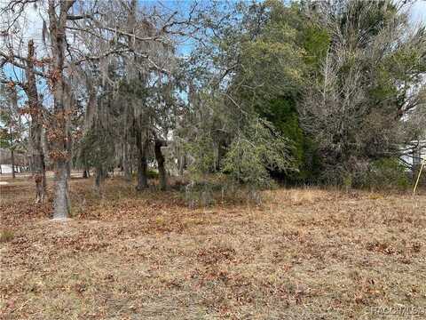 7227 W Jackson Lane, Homosassa, FL 34448