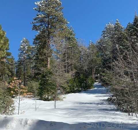 0 Laurel Trail Lot, Pine Cove Idyllwild, CA 92549